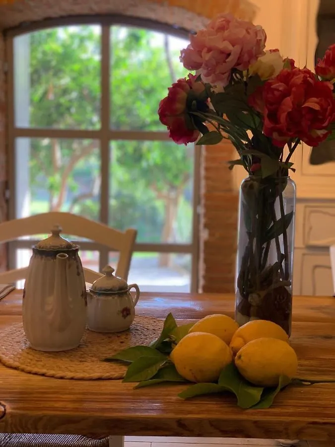 Il Giardino Dei Limoni Bed & Breakfast Suvereto 0*,